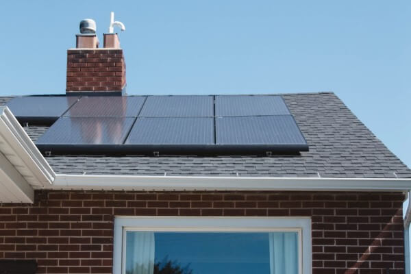 PEST CONTROL BISHOPS STORTFORD, Hertfordshire. Services: Solar Panel Bird Proofing. Ensure the Safety of Your Solar Panels with Local Pest Control Ltd's Expert Bird Proofing Services in Bishops Stortford